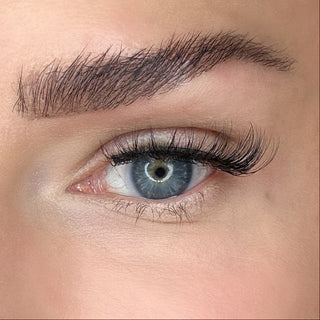 Auge mit Magnetwimpern