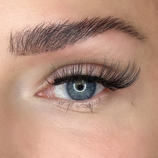 Auge mit Magnetwimpern