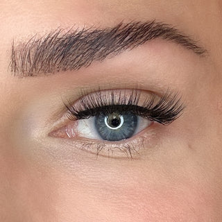 Auge mit Magnetwimpern